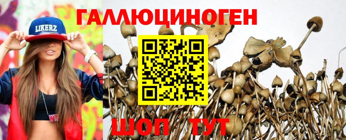 даркнет сайт  Псилоцибиновые грибы Psilocybe  Вход с VPN  Заволжье 